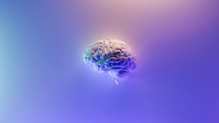el-fascinante-cerebro