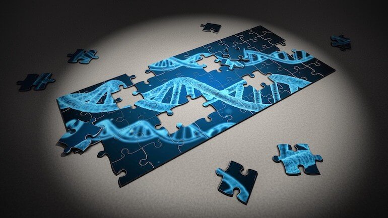 Puzzle Investigacion
